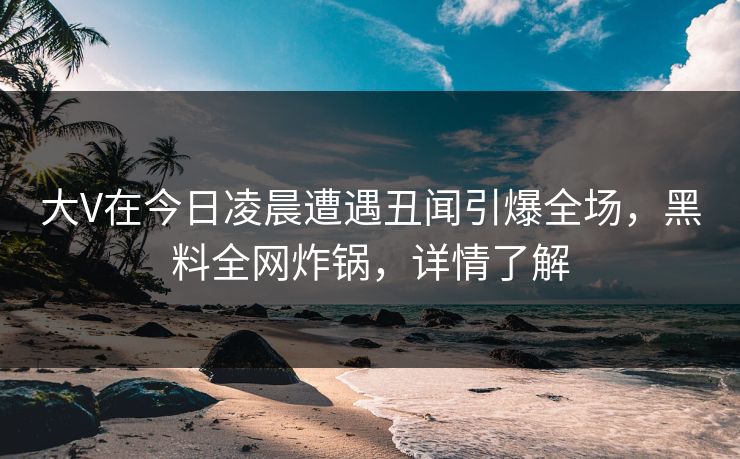 大V在今日凌晨遭遇丑闻引爆全场，黑料全网炸锅，详情了解