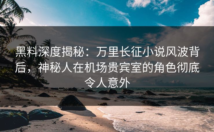 黑料深度揭秘：万里长征小说风波背后，神秘人在机场贵宾室的角色彻底令人意外