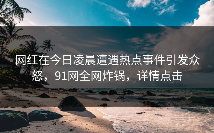 网红在今日凌晨遭遇热点事件引发众怒，91网全网炸锅，详情点击