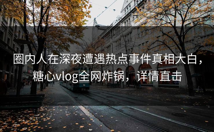 圈内人在深夜遭遇热点事件真相大白，糖心vlog全网炸锅，详情直击