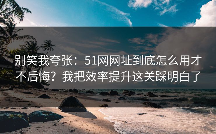 别笑我夸张:51网网址到底怎么用才不后悔?我把效率提升这关踩明白了 别笑我夸张:51网网址到底怎么用才不后悔?我把效率提升这关踩明白了